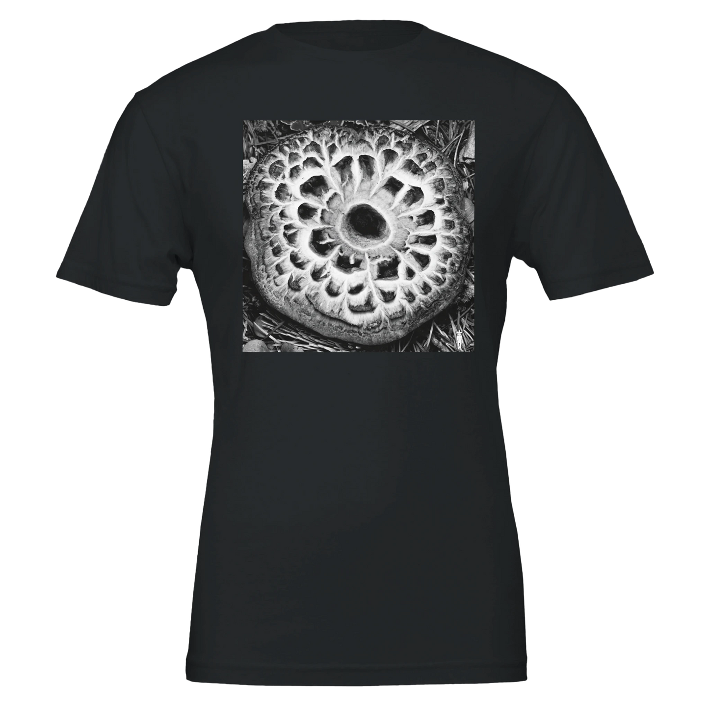 023255bf-0860-4213-ad0b-456055c6bffc