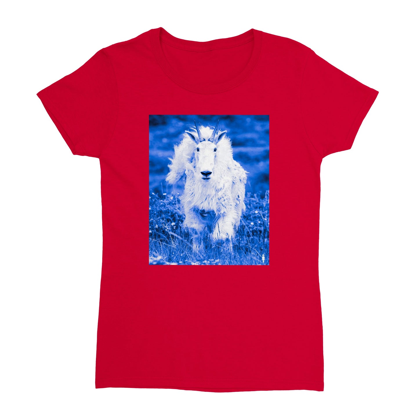 Colorado Blue Goat: Heavyweight Womens Crewneck T-shirt