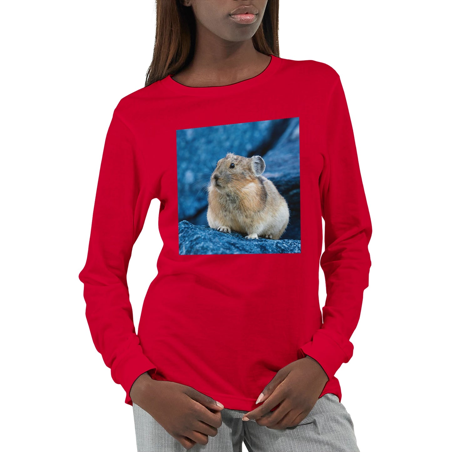 3d9ab5dd-4559-48ef-adb8-31772a4faf05