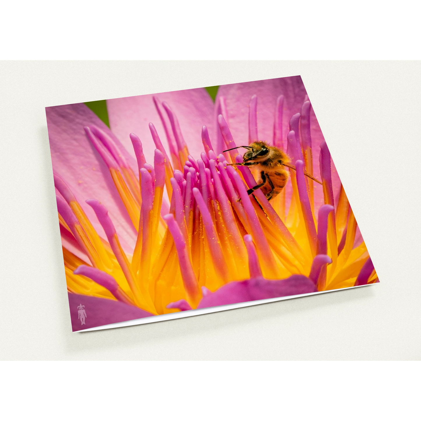 bdfa9215-e748-414a-8e4c-85519d9c411b