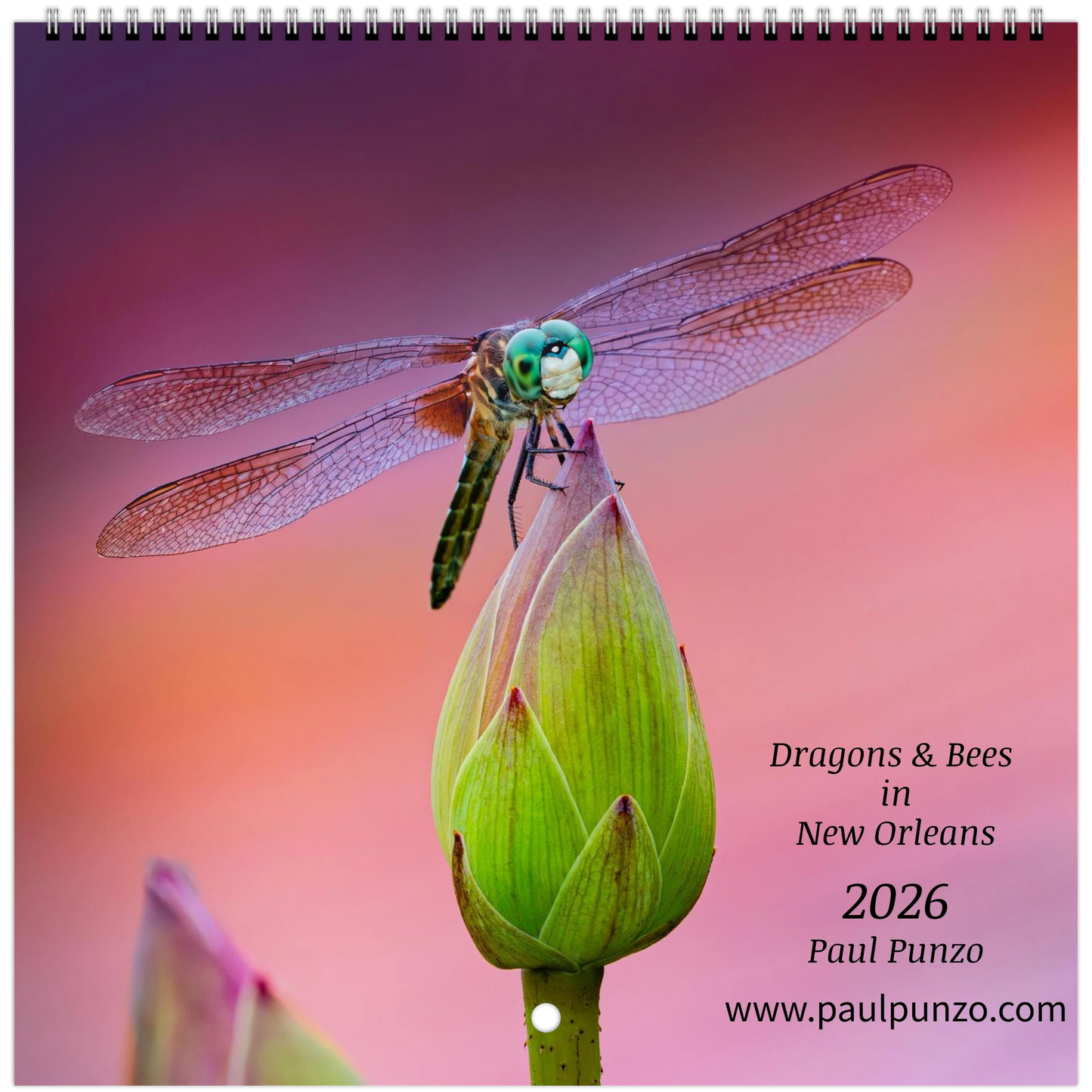 159ab987-9de3-4cce-957c-5082c26b1ad4