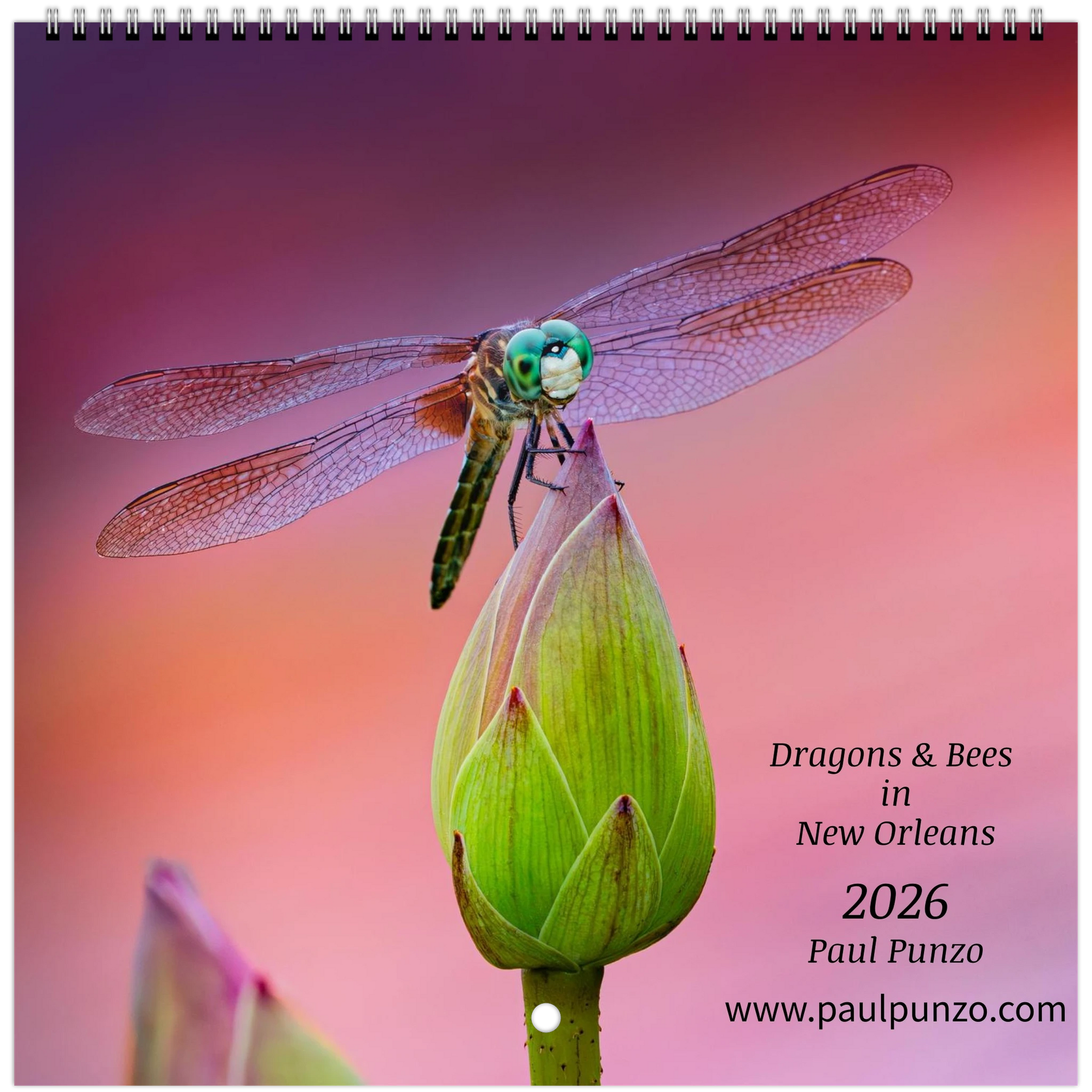 159ab987-9de3-4cce-957c-5082c26b1ad4