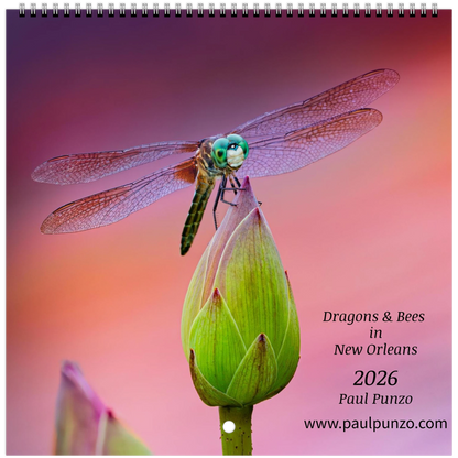 159ab987-9de3-4cce-957c-5082c26b1ad4