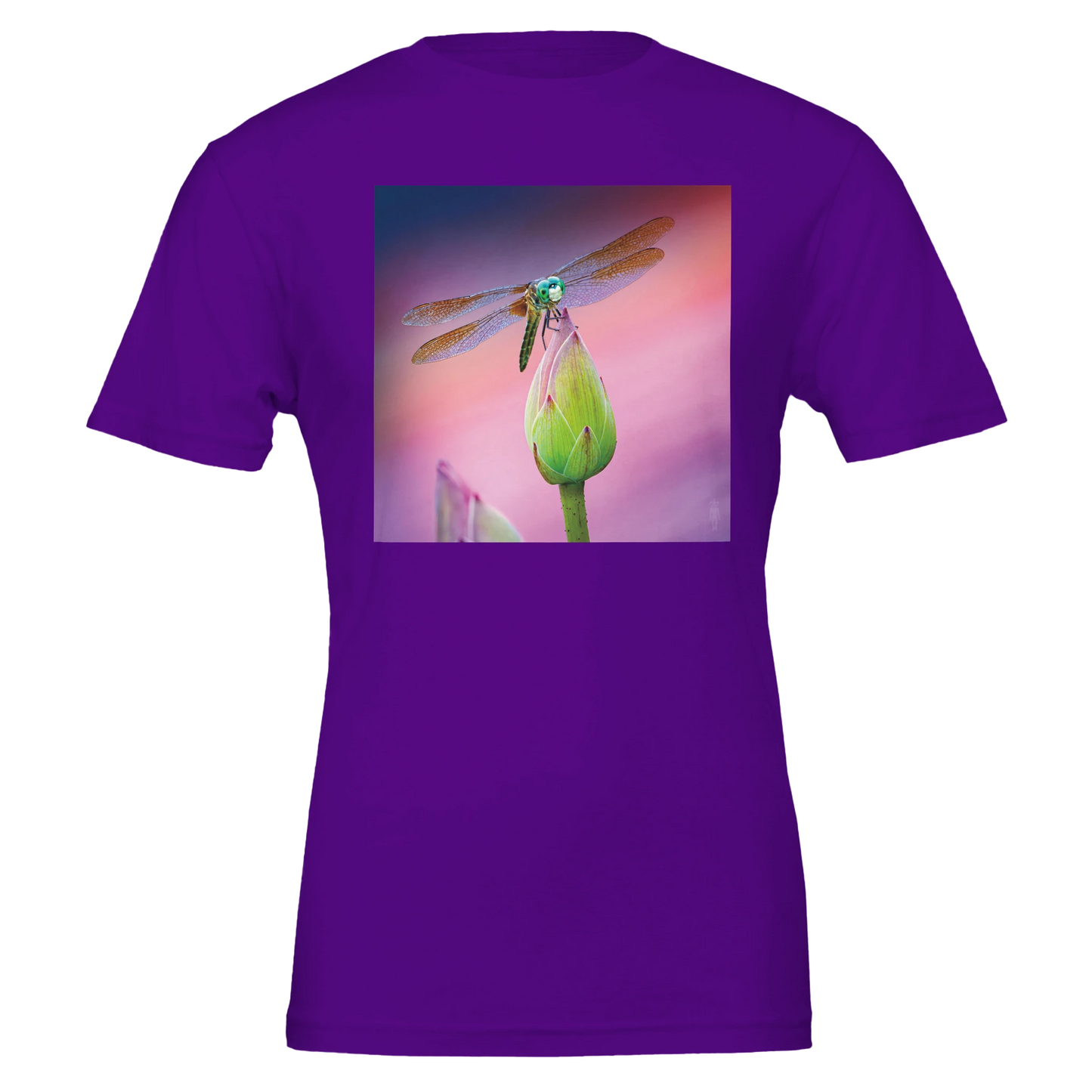 1c3794f3-5cc0-4439-831a-9283ab743af4