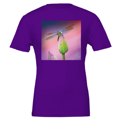 1c3794f3-5cc0-4439-831a-9283ab743af4