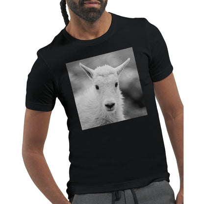 1dc8bd3f-745b-4a4c-be7c-7ba47f4d15c3