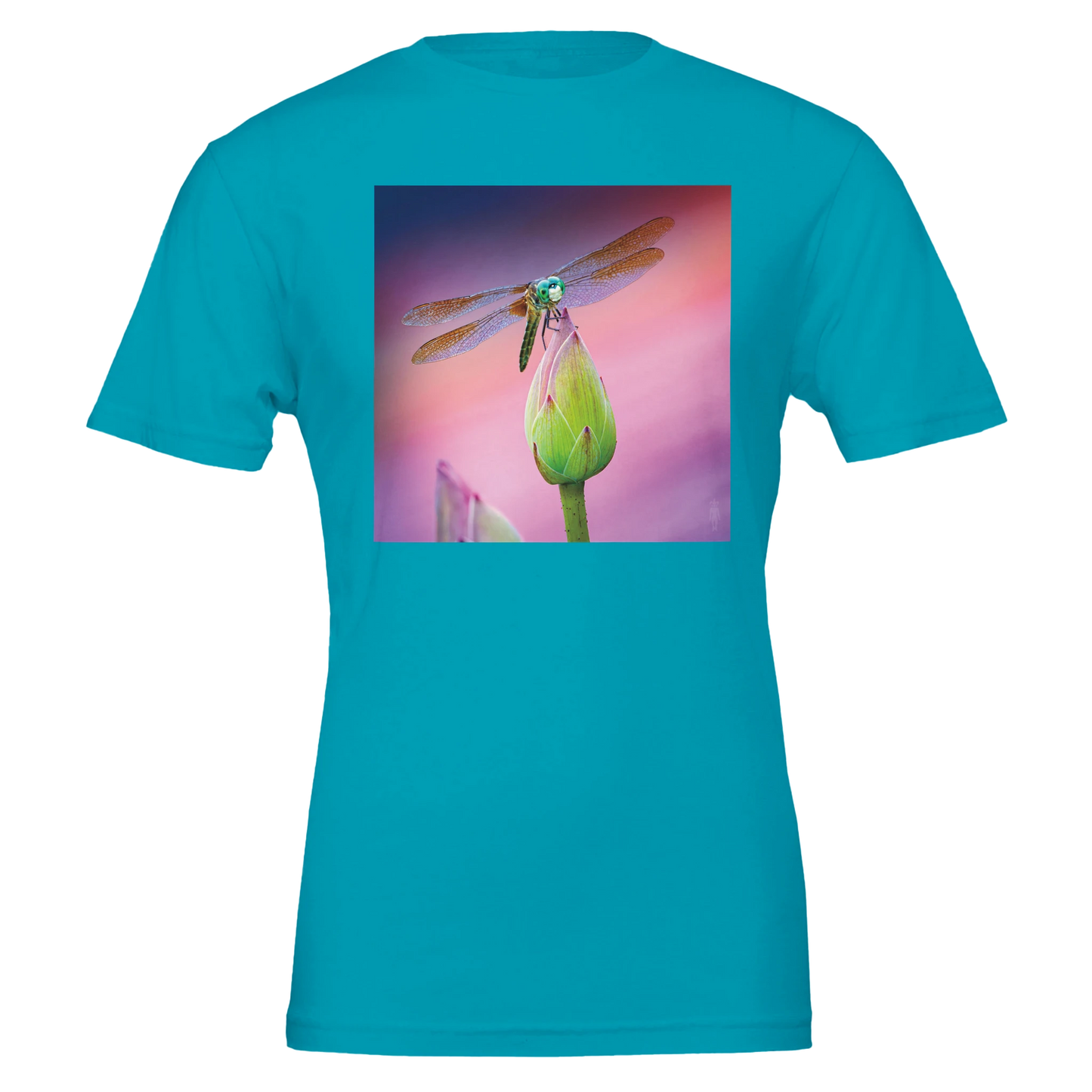 51d2c9fe-ec36-4e31-9425-eb8f2f112b58