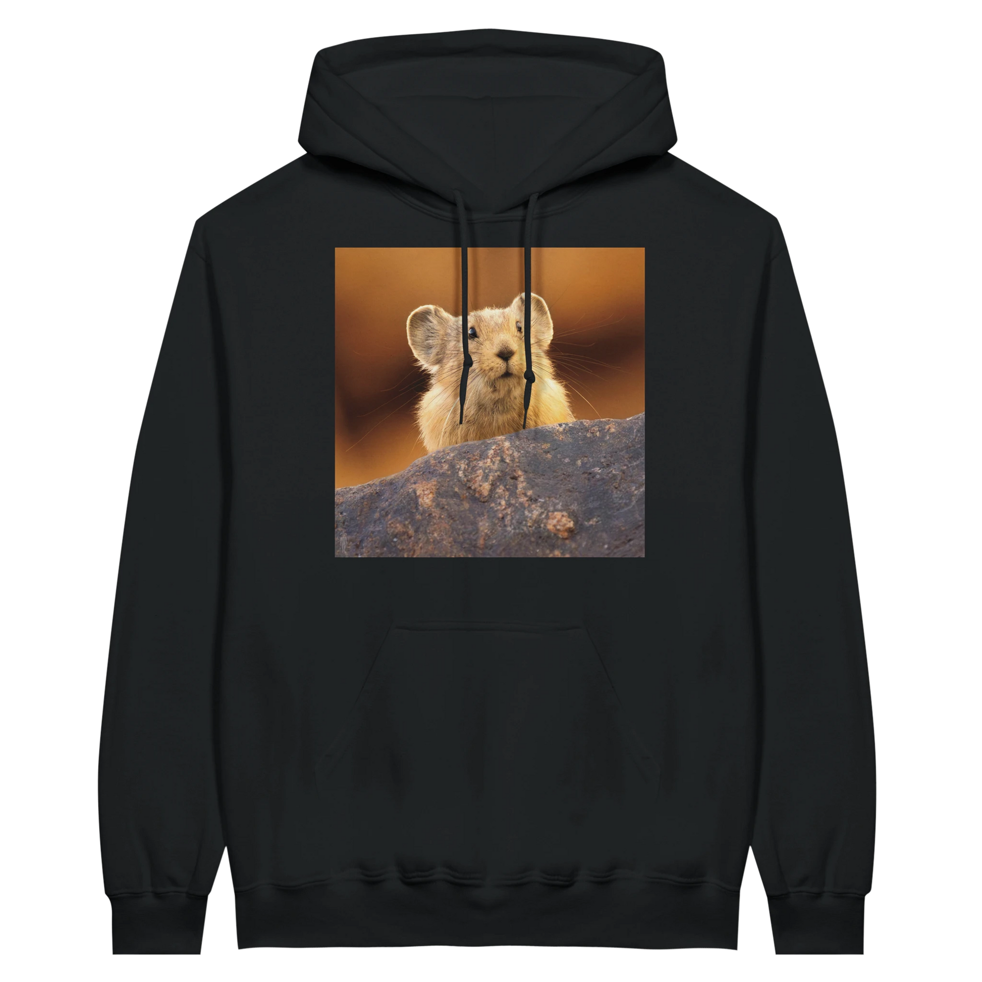 5dcd9b7d-5ff6-43e1-846e-429d487c4be6