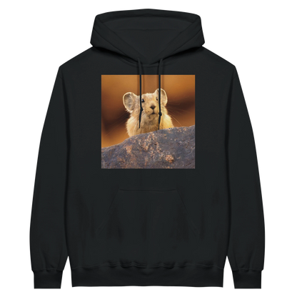 5dcd9b7d-5ff6-43e1-846e-429d487c4be6