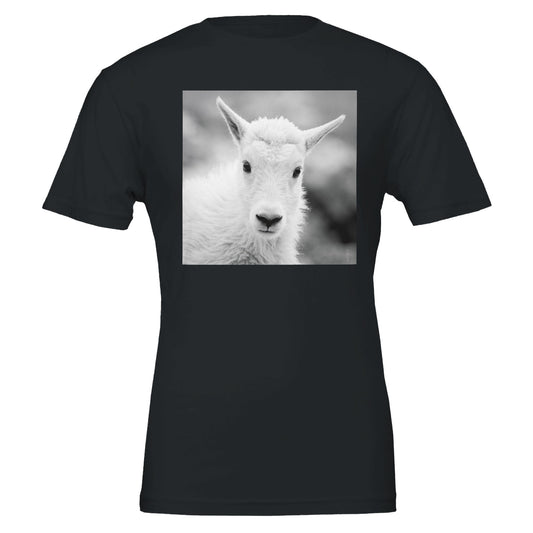 6b80d5e3-307d-46b6-8973-6208c9261ff9