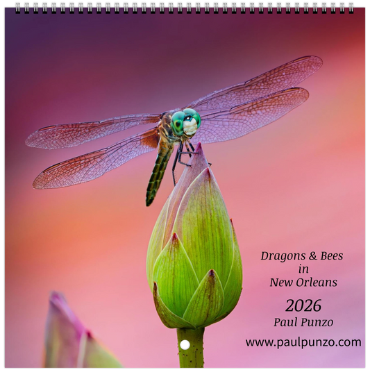 8ea474aa-d5c3-435a-aa93-47b26804bd02