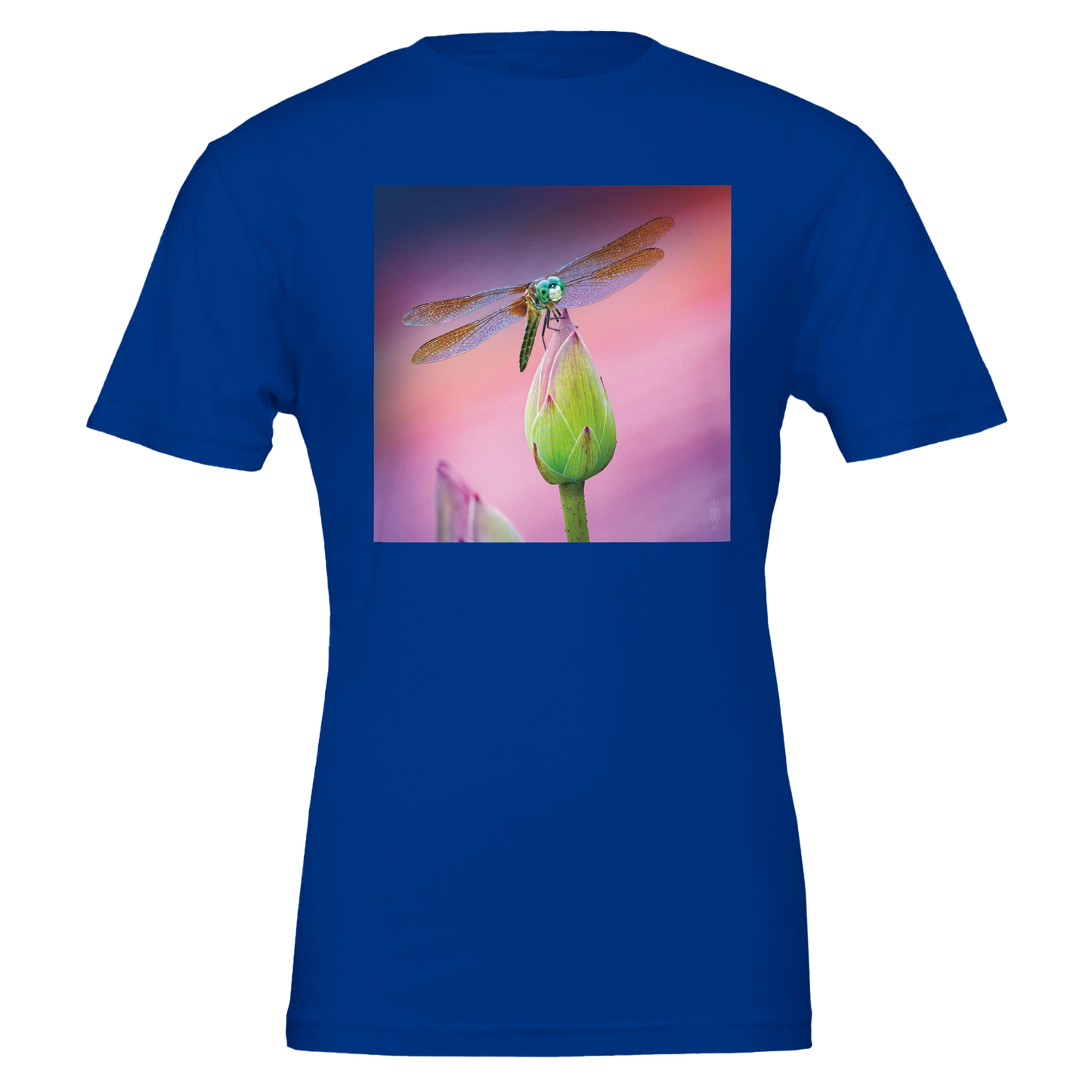 9b0a74e4-5b8e-49d3-8e06-153e8c977701