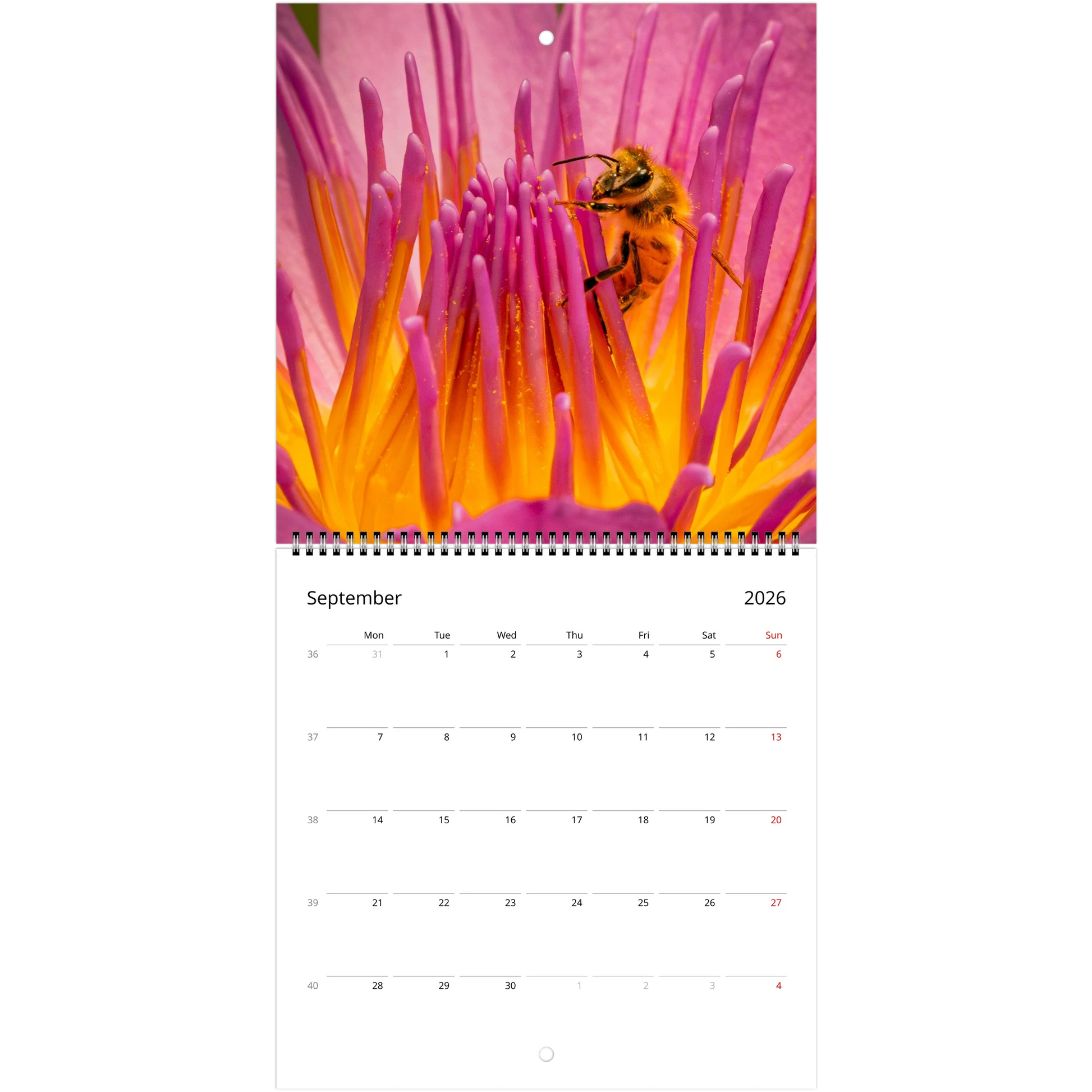 9f04977c-3cb0-4959-8474-1fef91d72653