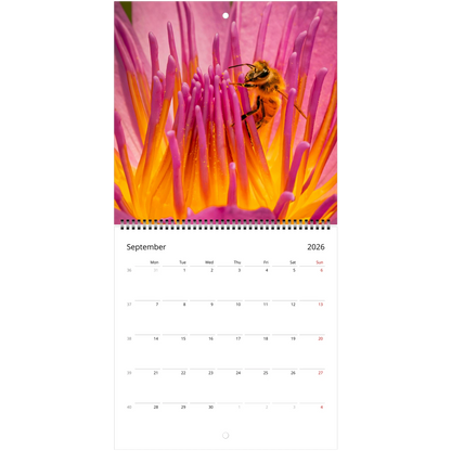 9f04977c-3cb0-4959-8474-1fef91d72653