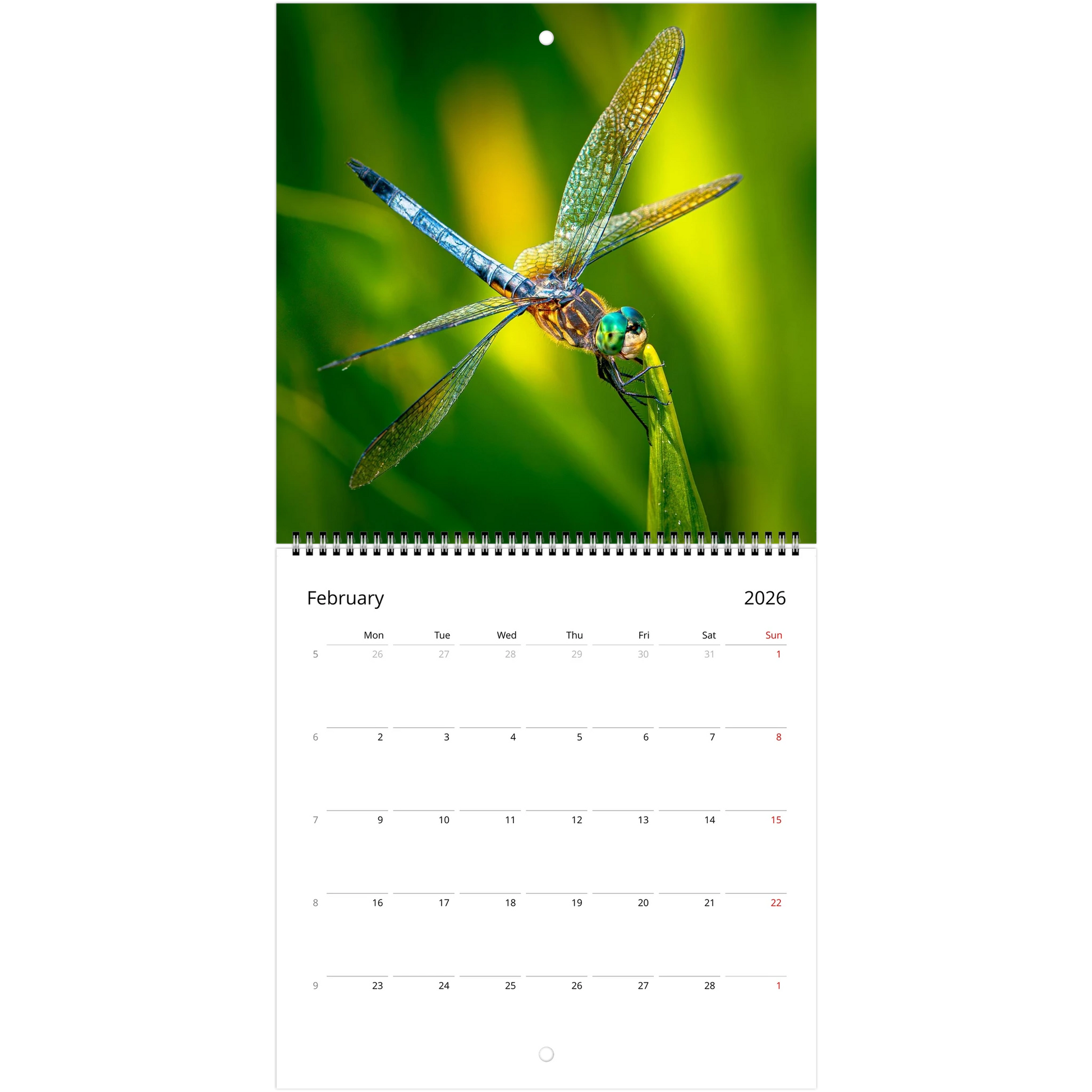 9fadd68f-e149-4376-96c9-7e3a87b15b44