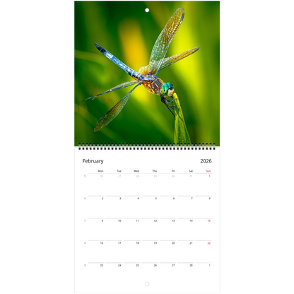 9fadd68f-e149-4376-96c9-7e3a87b15b44