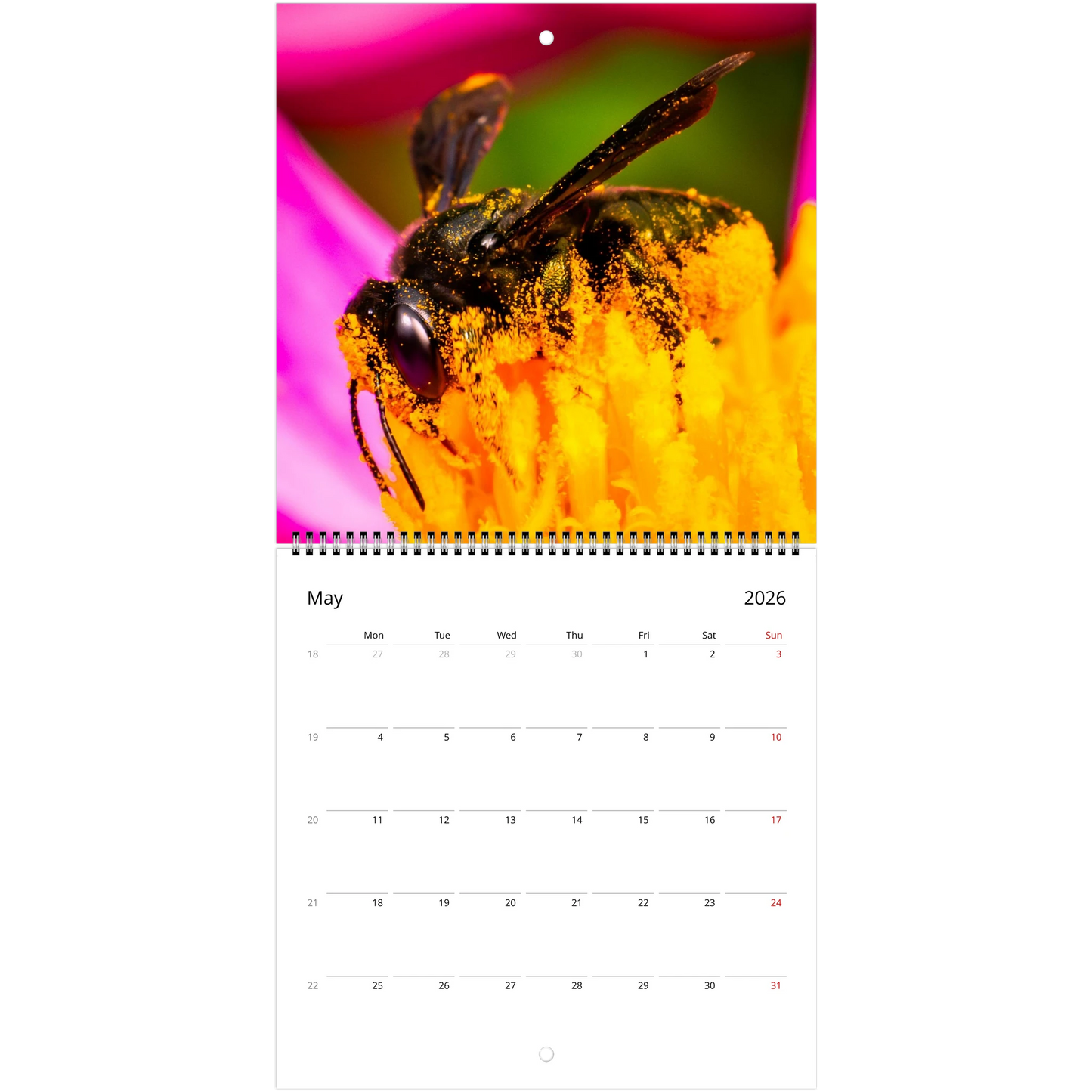 b2bde4c7-462d-41b0-9c15-87a4695a0870