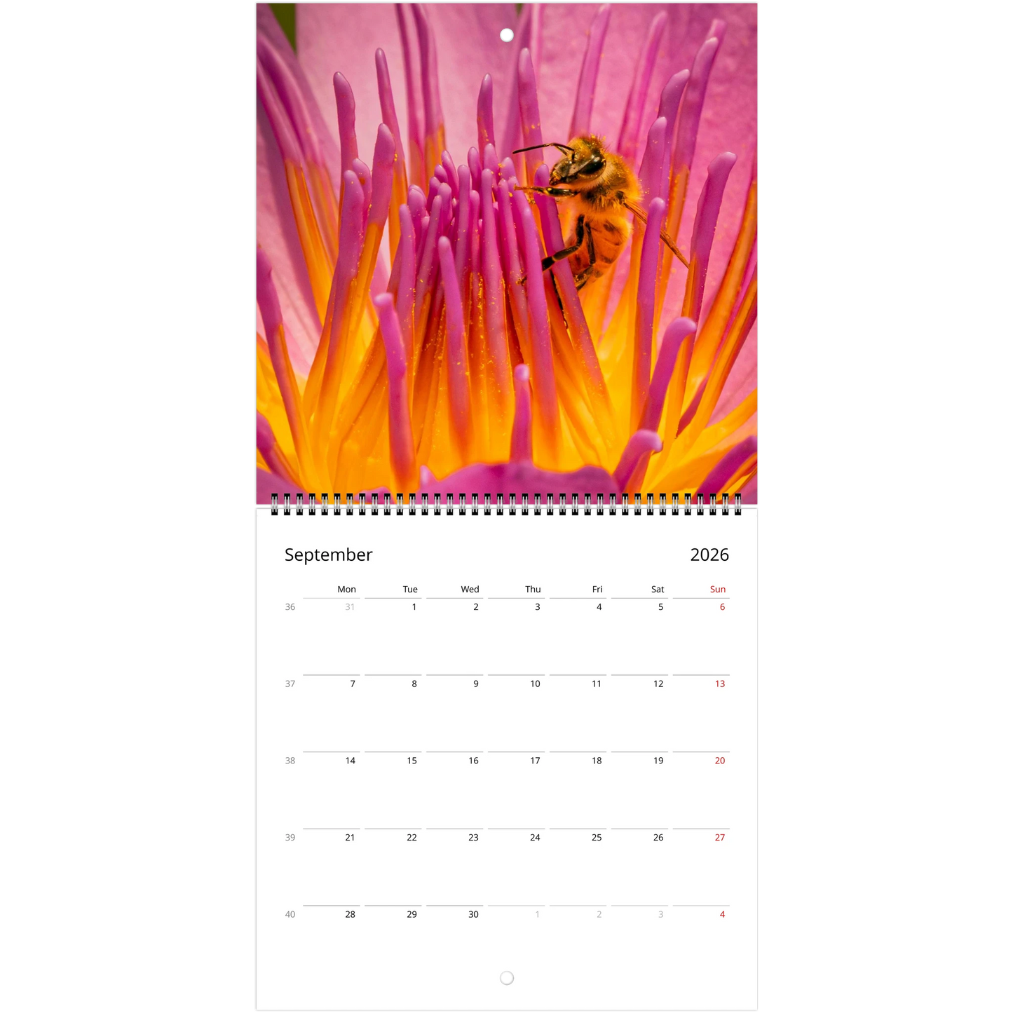 bdd3f30d-29f7-469a-85af-34f0f1df3a18