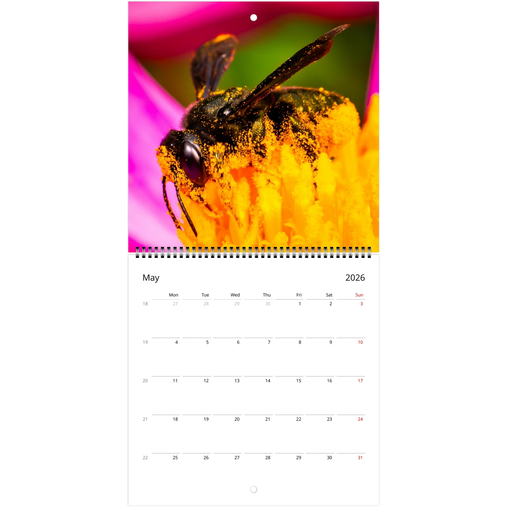 c4627e6a-2ae3-4276-b271-f65a551caa42