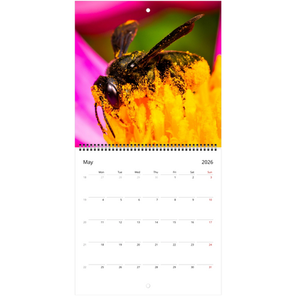 c4627e6a-2ae3-4276-b271-f65a551caa42