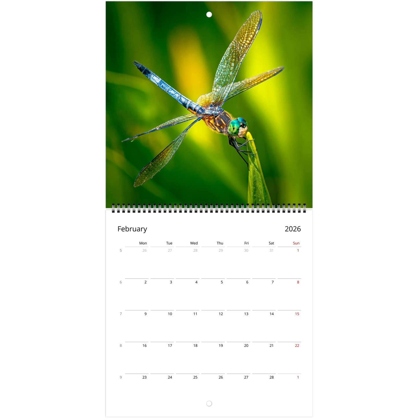 dc3b6b10-f529-4f4b-addc-317a04d2cbbf