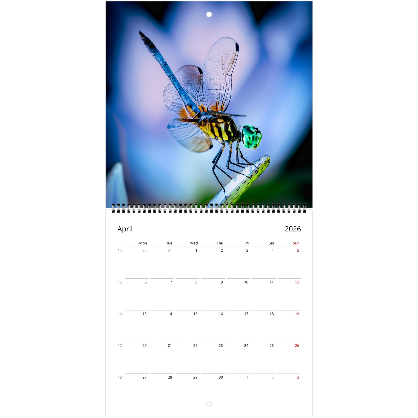 e9bd5619-2d82-4c2f-ad40-f7dc68dc88fd