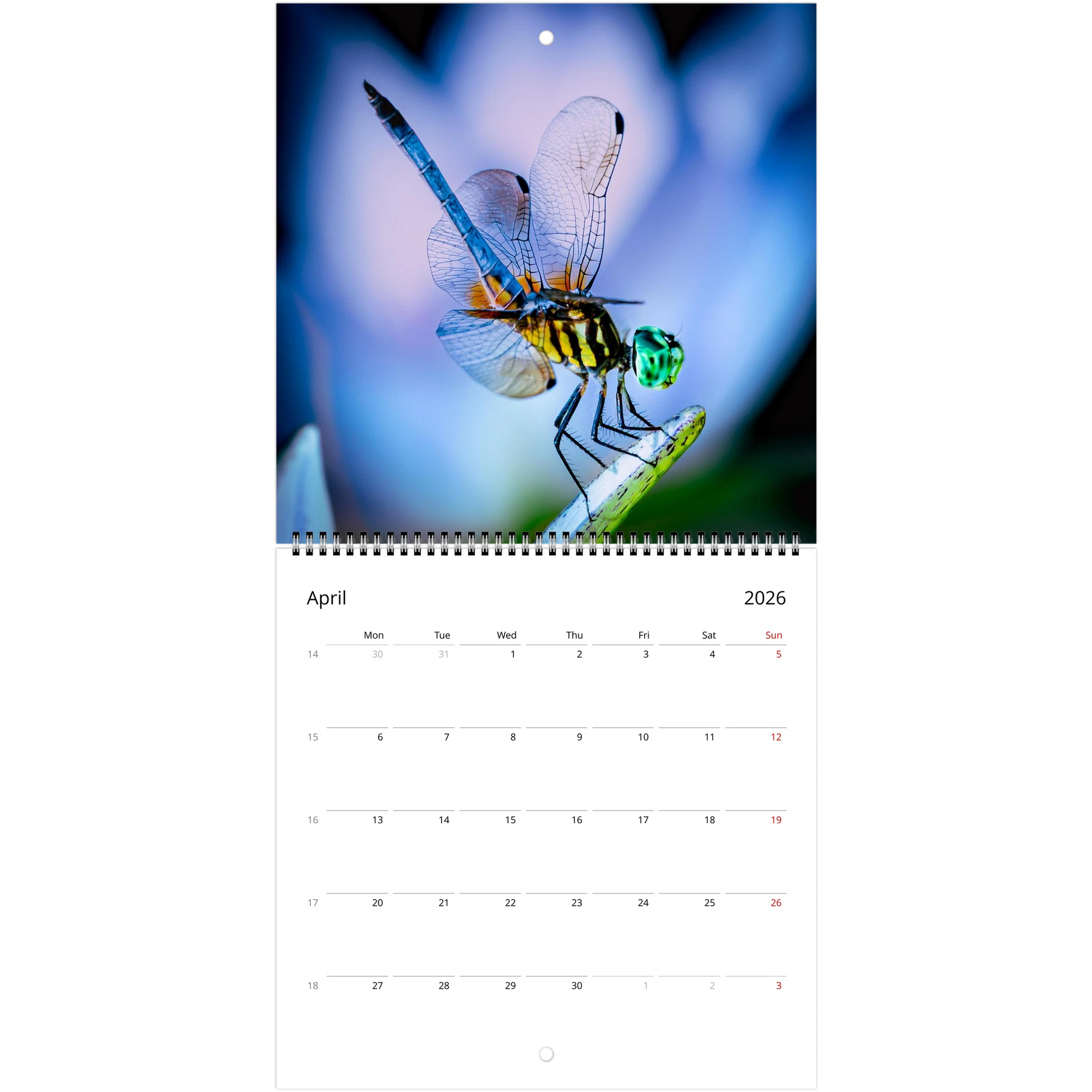 e9bd5619-2d82-4c2f-ad40-f7dc68dc88fd