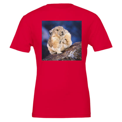 faeed968-5890-406d-84f0-2b9aacb558dd