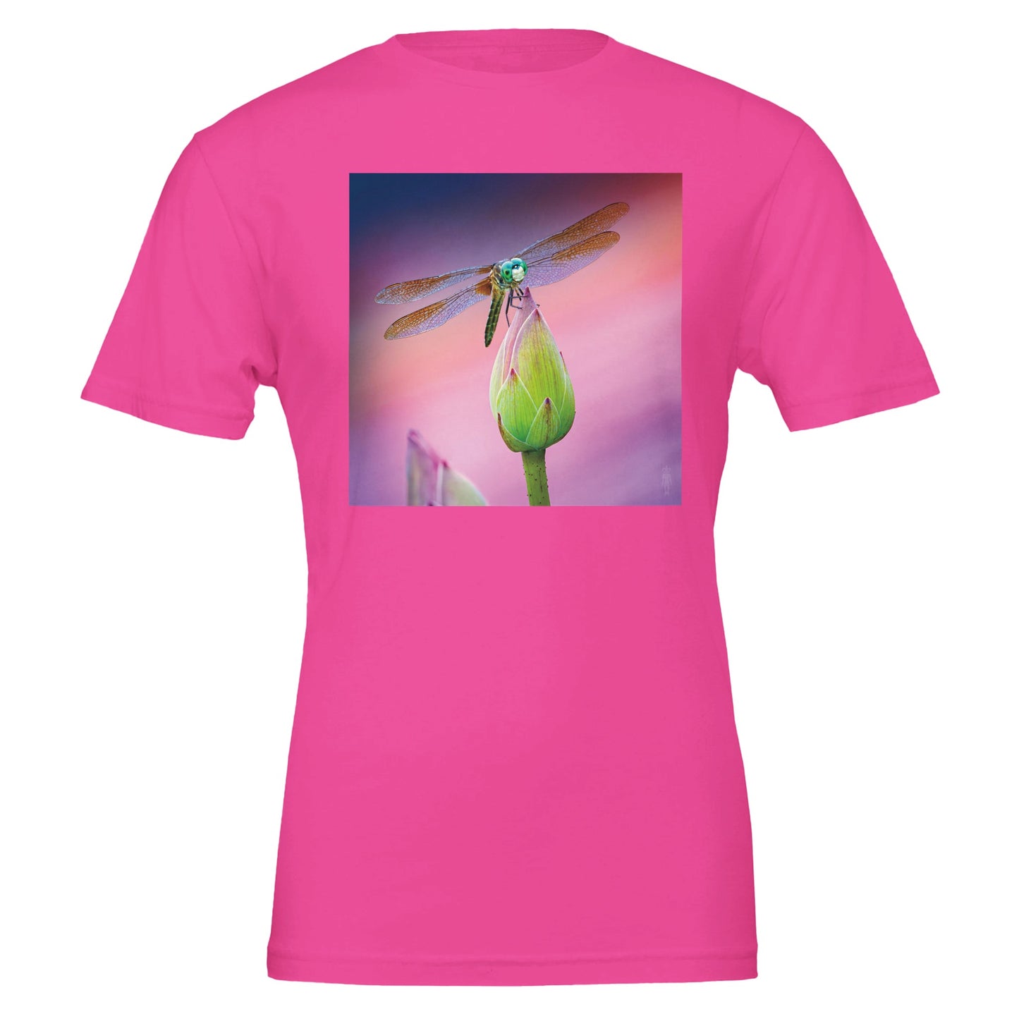 fc478b91-c78c-46d4-ba0c-5b5e989cf849